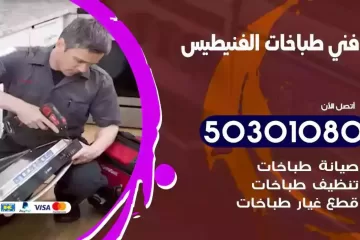 رقم فني طباخات الفنيطيس