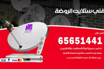 فني ستلايت الروضة