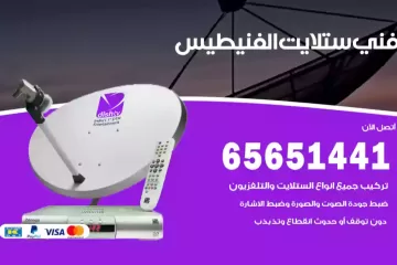 فني ستلايت الفنيطيس