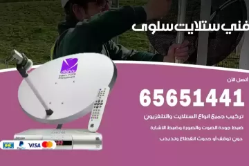 فني ستلايت سلوى