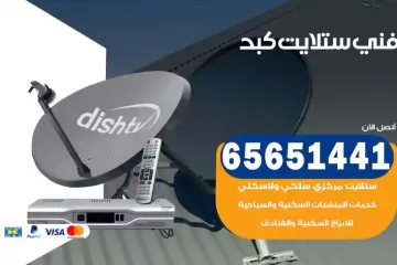 فني ستلايت كبد